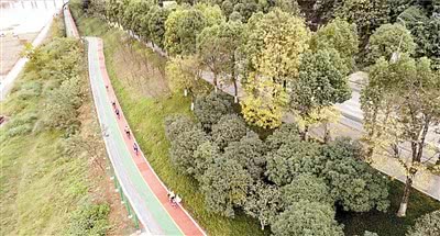 全市首条沿江自行车道 在巴南区正式建成开放