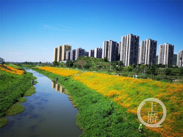 重庆24类78项建设项目 即日起不纳入环评管理
